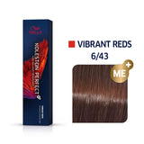 Wella Professionals, Koleston Perfect Me+, Tinta per capelli permanente, 6/43 Dark Blonde Golden Red, 60 ml - Cosmova