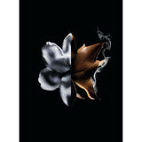 Parfum de dama Givenchy L'Interdit Absolu L'Interdit Absolu 50 ml-4